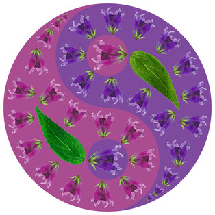 Blumensymbol Yin-Yang. Campanula. Geometrisches Muster des Yin-Yang-Symbols von Pflanzen auf buntem Hintergrund im orientalischen Stil. Yin Yang Symbol aus Blumen, Blüten. Blumengrafik von Mandala.
