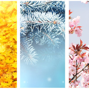 Vier Jahreszeiten. Set von vertikalen Naturbannern mit Winter-, Frühling-, Sommer- und Herbstszenen. 